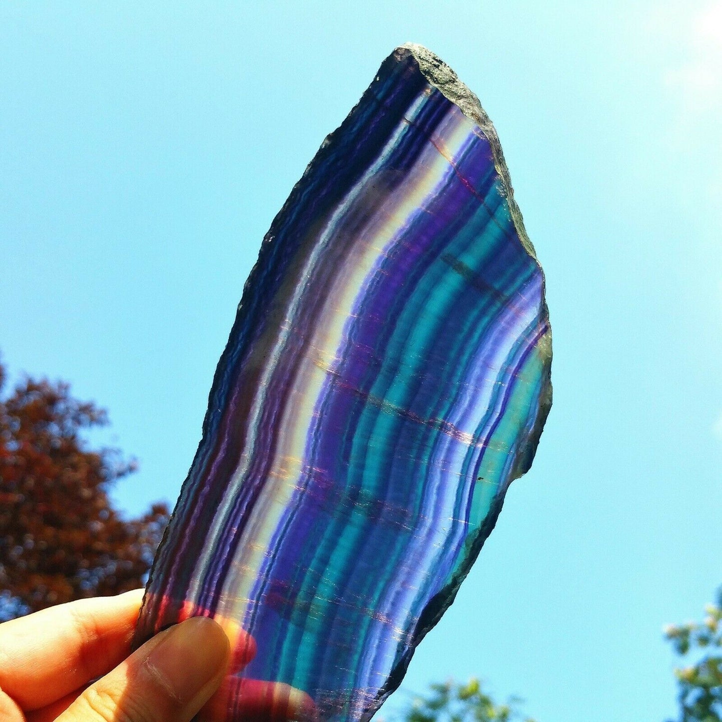 Especímenes de piedra originales de cristal de fluorita multicolor Natural 275G