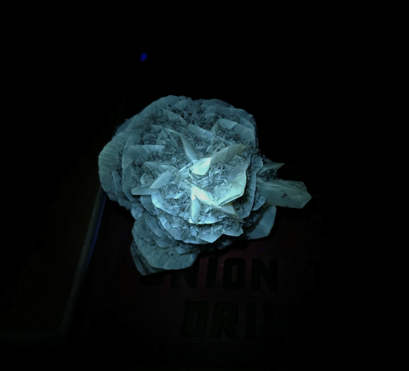 Gypsum var. Selenite 1F196 Canada Crystal Mineral Specimen