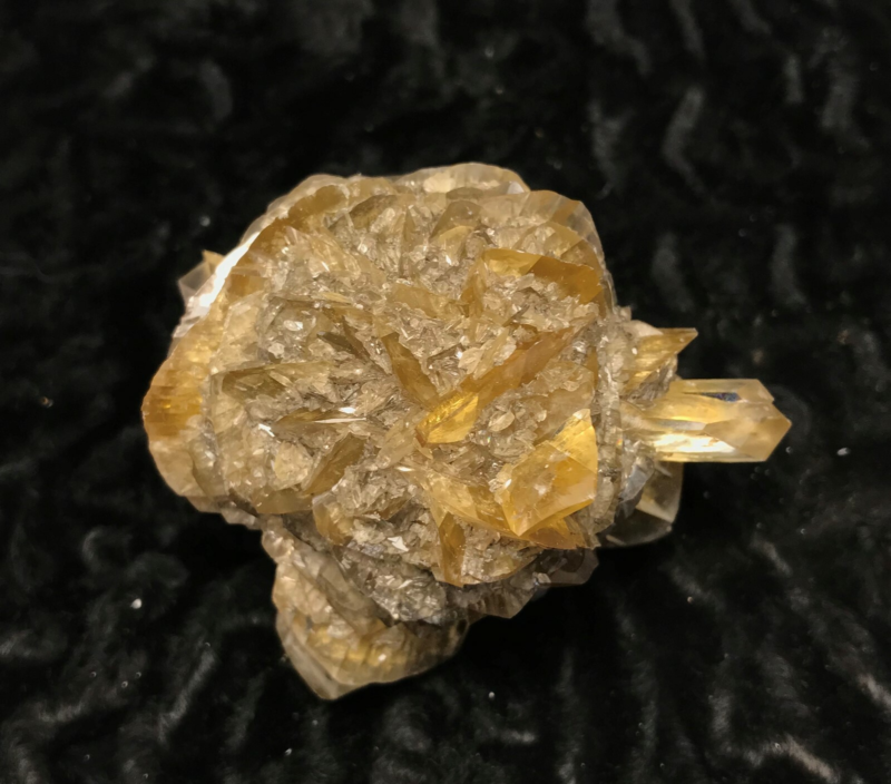 Gypsum var. Selenite 1F196 Canada Crystal Mineral Specimen