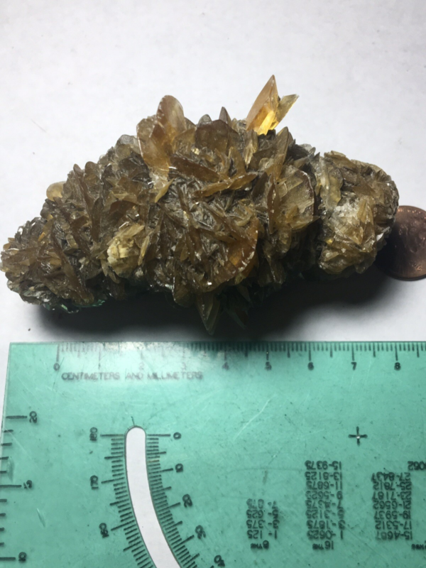 Large Winnipeg Gypsum Selenite Crystal Cluster Rose Canada Natural