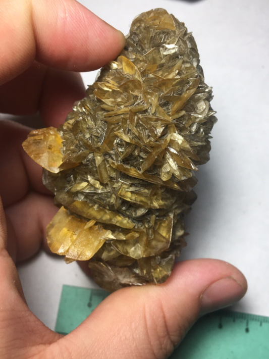 Large Winnipeg Gypsum Selenite Crystal Cluster Rose Canada Natural