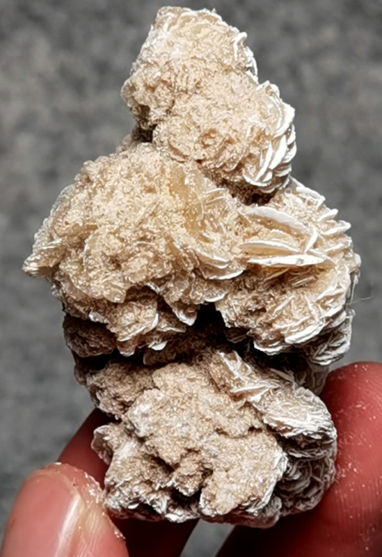 45 Gram Gypsum Selenium Stone Rose Adenium Obesum Sand Rose Namibia Desert