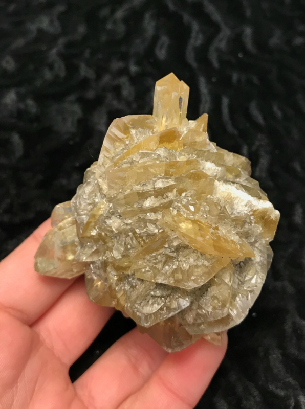 Gypsum var. Selenite 1F196 Canada Crystal Mineral Specimen