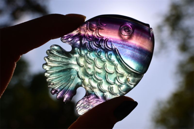 2.4+" Carved Natural Rainbow Fluorite Fish Reiki Crystal Skull Crystal Gifts 1PC