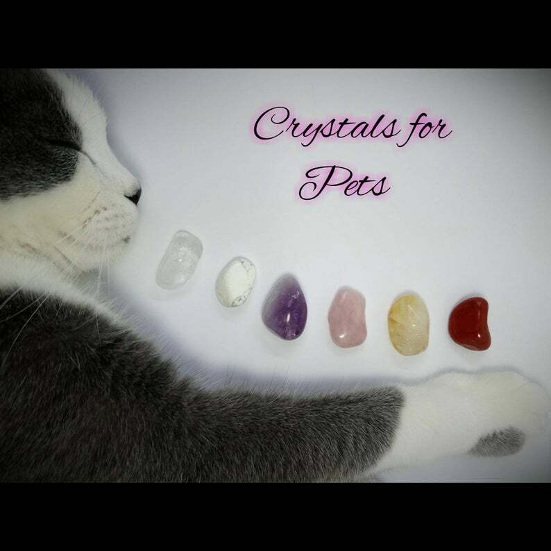 Crystals for Pets and Animals Quartz Howlite Amethyst Rose Quartz Citrine Jasper