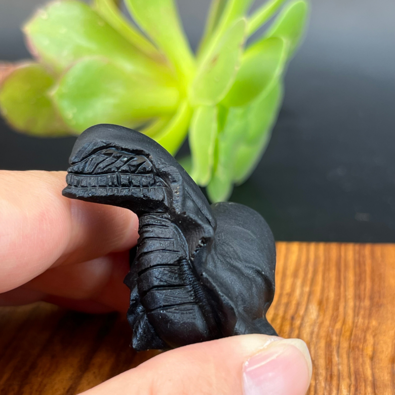 57g Natural crystal Obsidian Snail Grimace Animal carving reiki healing Gem Gift