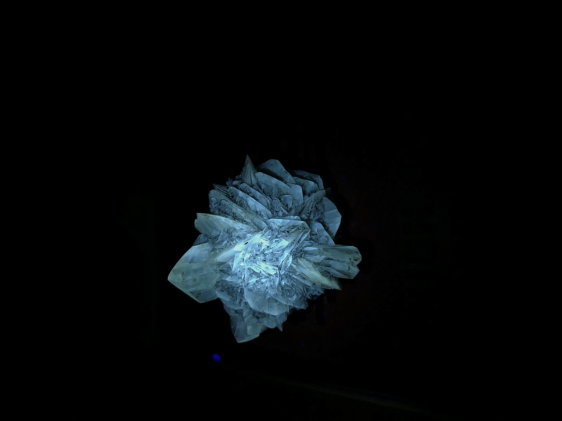 Gypsum var. Selenite 1F196 Canada Crystal Mineral Specimen