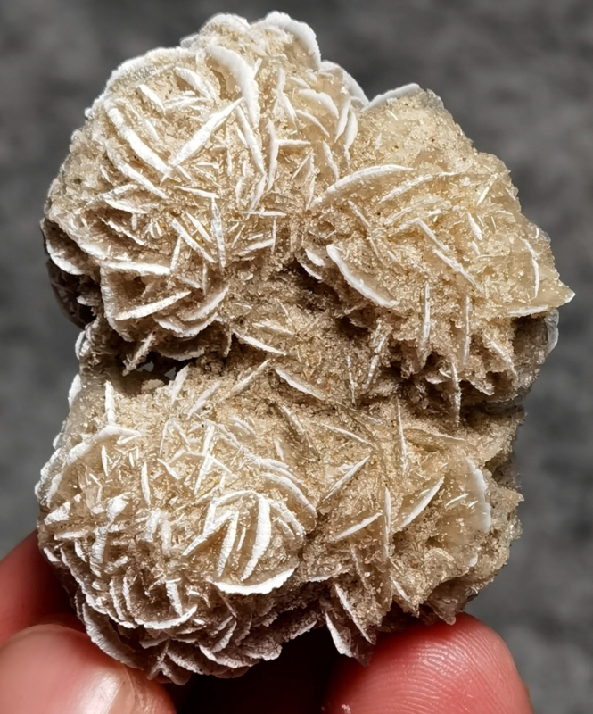 35g Gypsum Selenite Rose Desert Rose Sand Rose Namib Desert Namibia