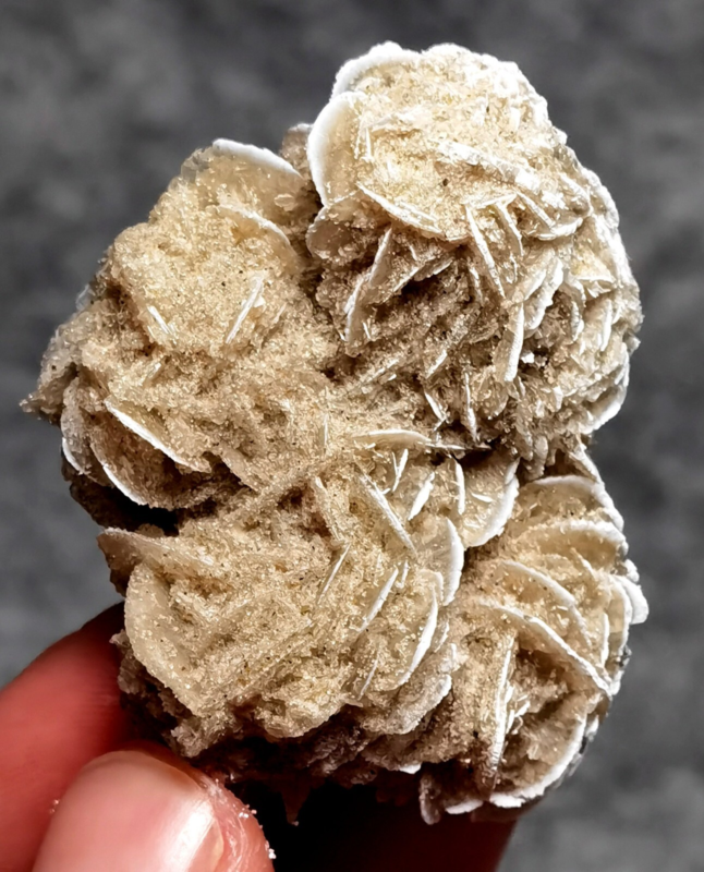 35g Gypsum Selenite Rose Desert Rose Sand Rose Namib Desert Namibia