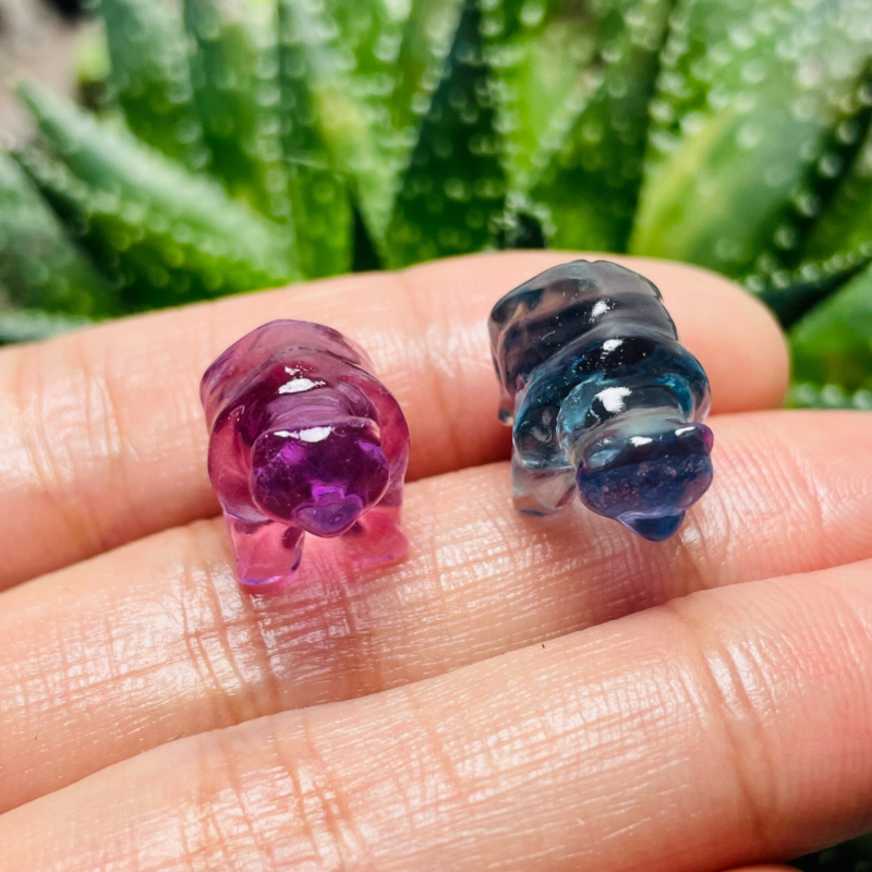 4Natural Fluorite Carved Mini Bear Skull Quartz Crystal Reiki Healing