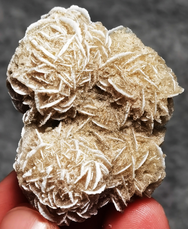 35g Gypsum Selenite Rose Desert Rose Sand Rose Namib Desert Namibia