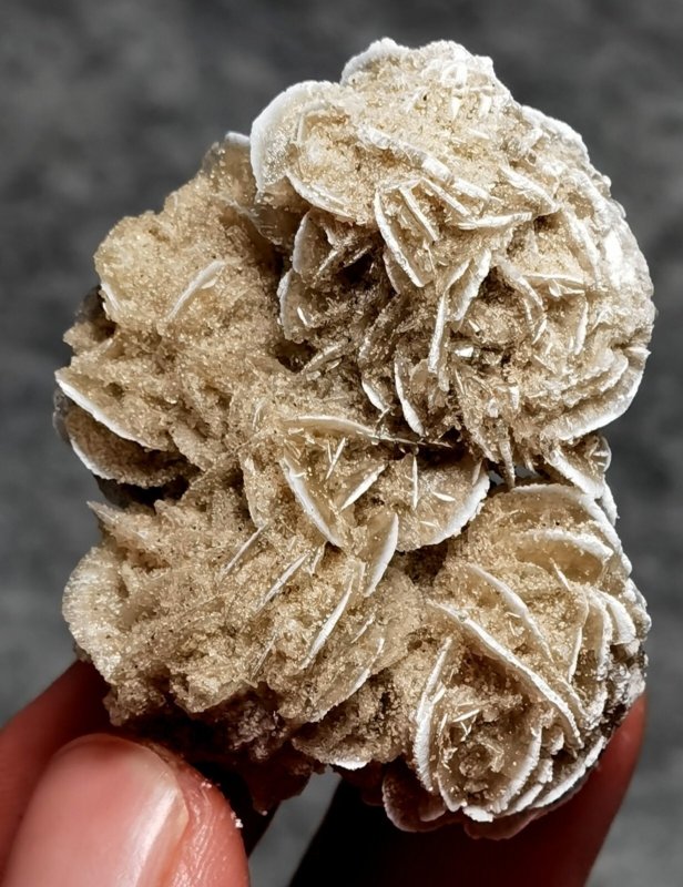 35g Gypsum Selenite Rose Desert Rose Sand Rose Namib Desert Namibia