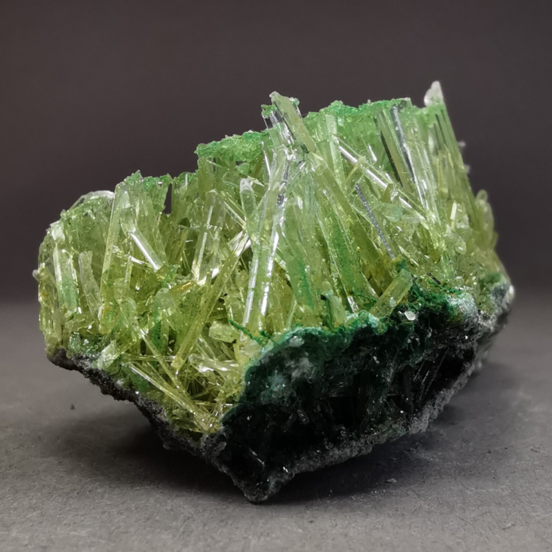 24.9 g RARE Gypsum var. Selenite w. Atacamite / Poland / Rough Crystal Specimen