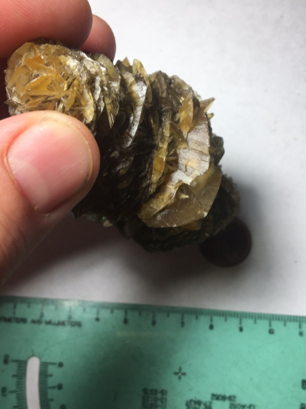 Large Winnipeg Gypsum Selenite Crystal Cluster Rose Canada Natural