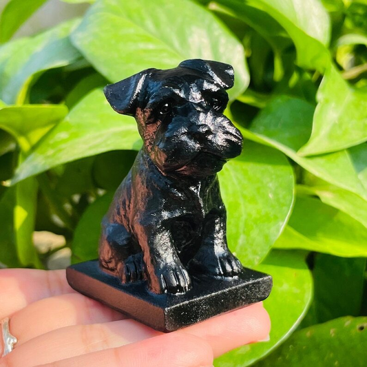 1pc Natural Obsidian Schnauzer Hand Carved Crystal Animal Decoration Reiki Heal
