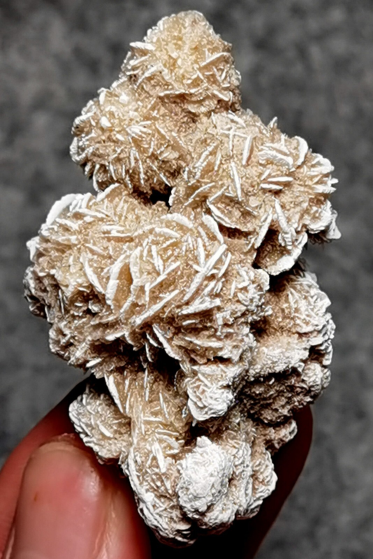 45 Gram Gypsum Selenium Stone Rose Adenium Obesum Sand Rose Namibia Desert