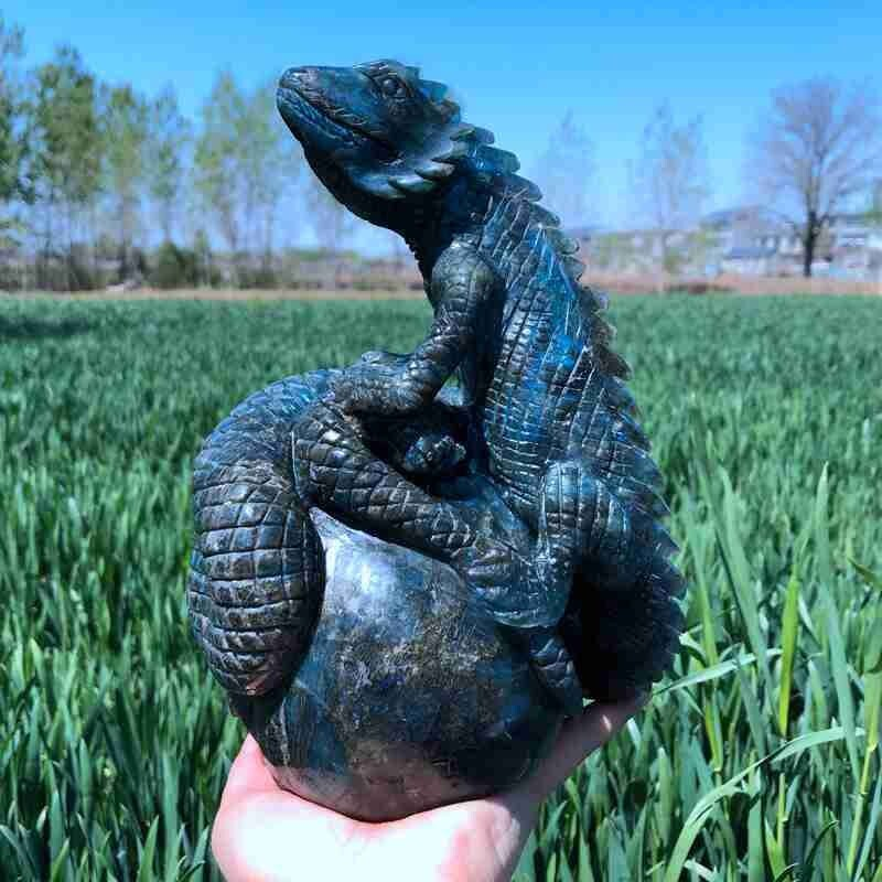 9.12LB Natural Labradorite Lizard hand Carved Skull Quartz Crystal Reiki Gift