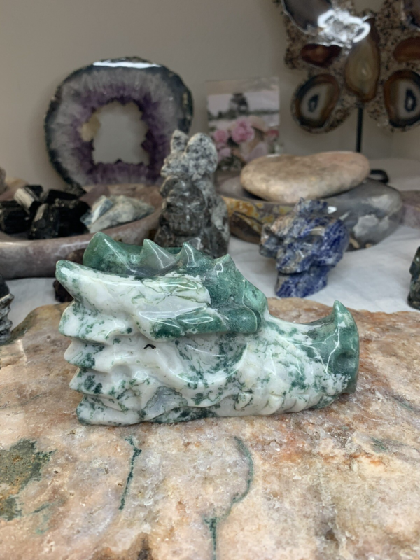 LARGE 5" - 5 1/2” 887g Green & White Moss Agate Dragon Head Crystal Skull!