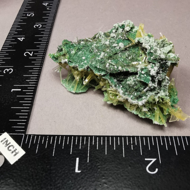 8.57 g RARE Gypsum var. Selenite w. Atacamite / Poland / Rough Crystal Specimen