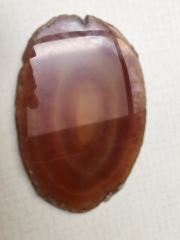 Lot 5:  Agate Slices, Small Fossil Nodule, Orthoceras Fossil, White gypsum Rocks