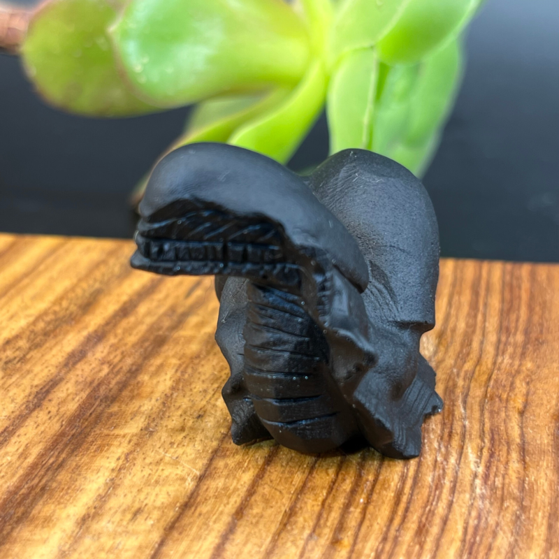 57g Natural crystal Obsidian Snail Grimace Animal carving reiki healing Gem Gift