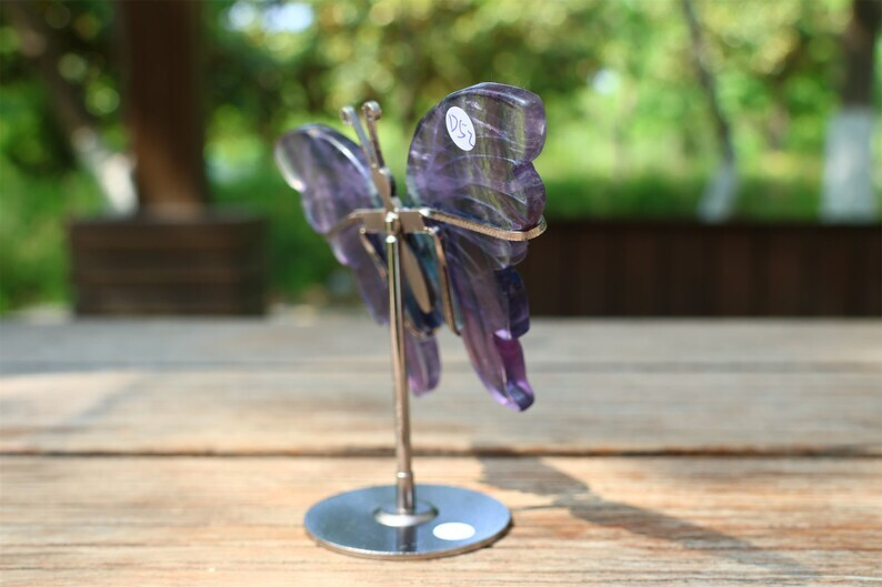 5.2&apos;&apos; A pair Natural Fluorite Butterfly Wing Reiki Crystal Skull Decor + Stand