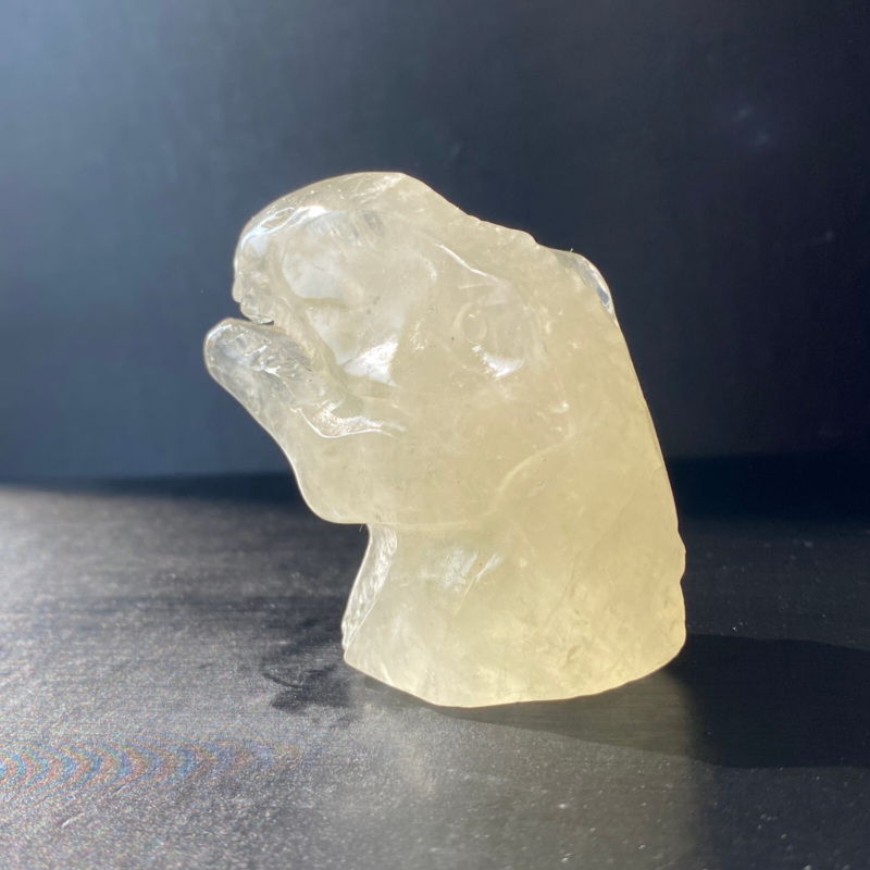 102Gram Natural Citrine Quartz Hand Carved Crystal Dinosaur Skull Healing
