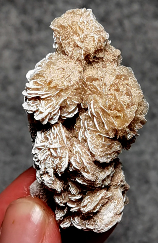 45 Gram Gypsum Selenium Stone Rose Adenium Obesum Sand Rose Namibia Desert
