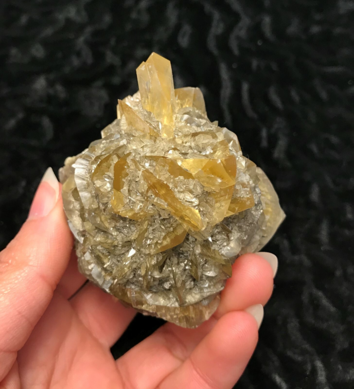 Gypsum var. Selenite 1F196 Canada Crystal Mineral Specimen