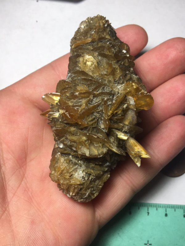 Large Winnipeg Gypsum Selenite Crystal Cluster Rose Canada Natural