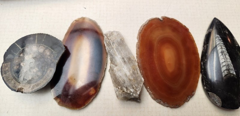 Lot 5:  Agate Slices, Small Fossil Nodule, Orthoceras Fossil, White gypsum Rocks