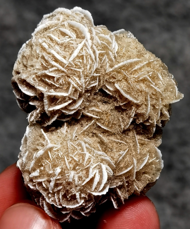 35g Gypsum Selenite Rose Desert Rose Sand Rose Namib Desert Namibia