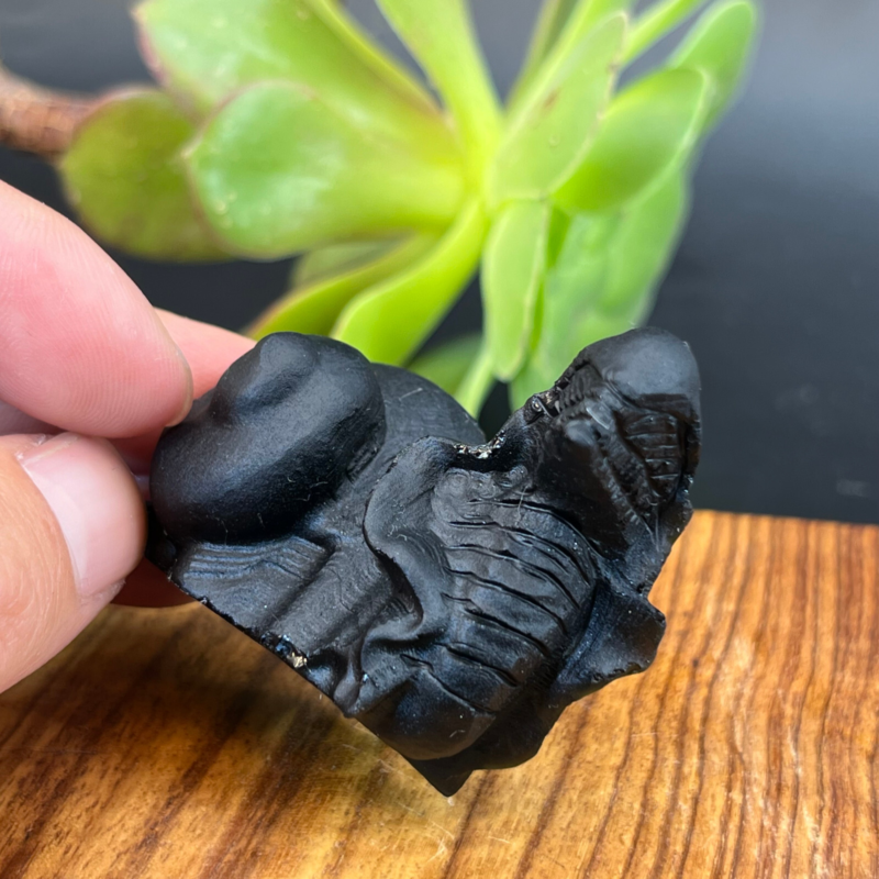 57g Natural crystal Obsidian Snail Grimace Animal carving reiki healing Gem Gift