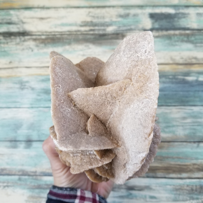 Large Natural Desert Rose Selenite Gypsum Cluster 4.5 LBS 7 x 5