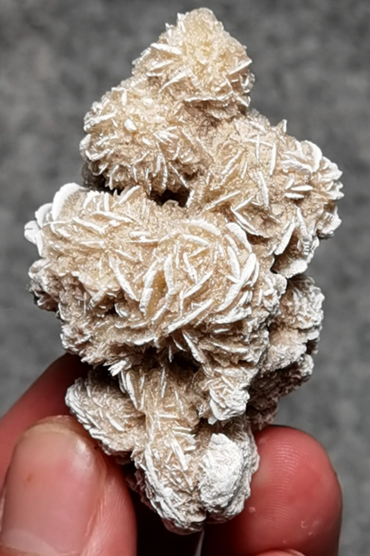 45 Gram Gypsum Selenium Stone Rose Adenium Obesum Sand Rose Namibia Desert