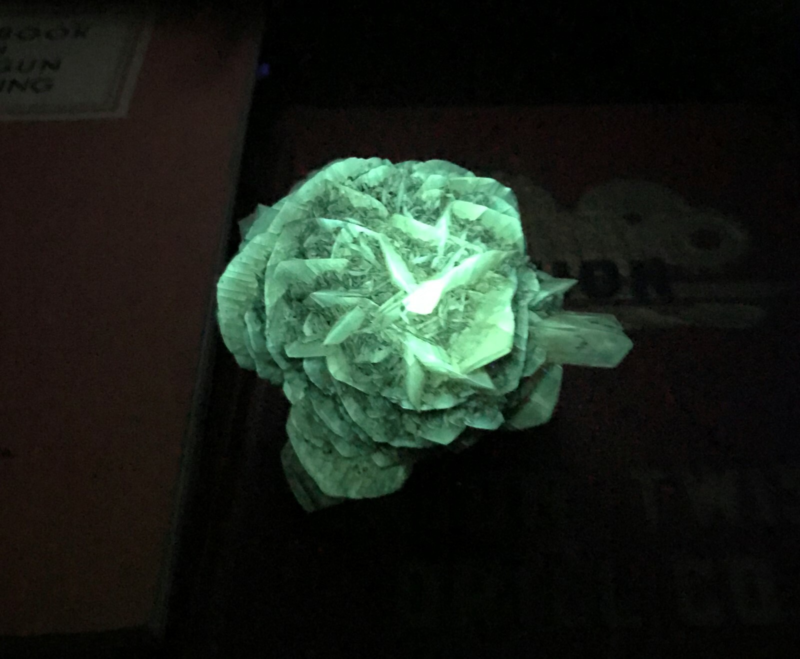 Gypsum var. Selenite 1F196 Canada Crystal Mineral Specimen