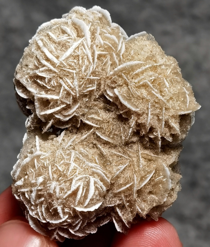 35g Gypsum Selenite Rose Desert Rose Sand Rose Namib Desert Namibia