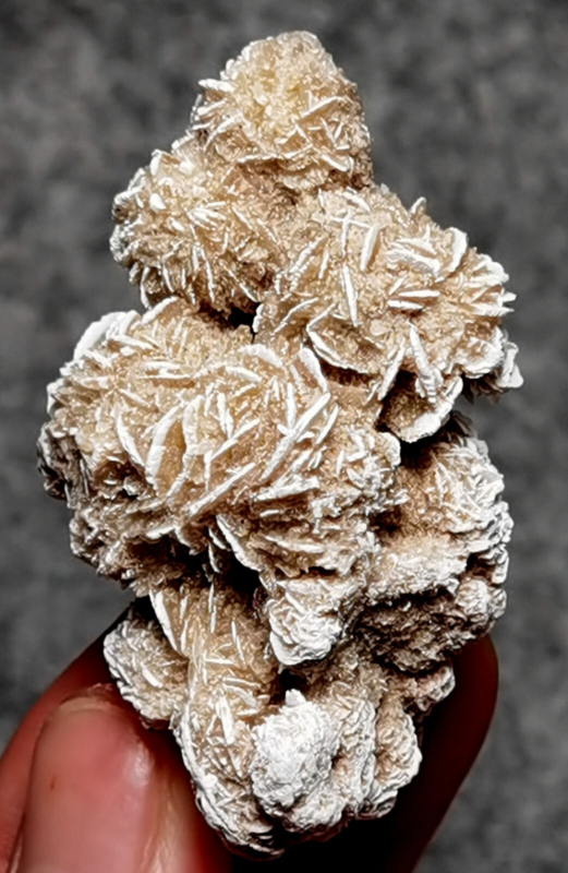 45 Gram Gypsum Selenium Stone Rose Adenium Obesum Sand Rose Namibia Desert