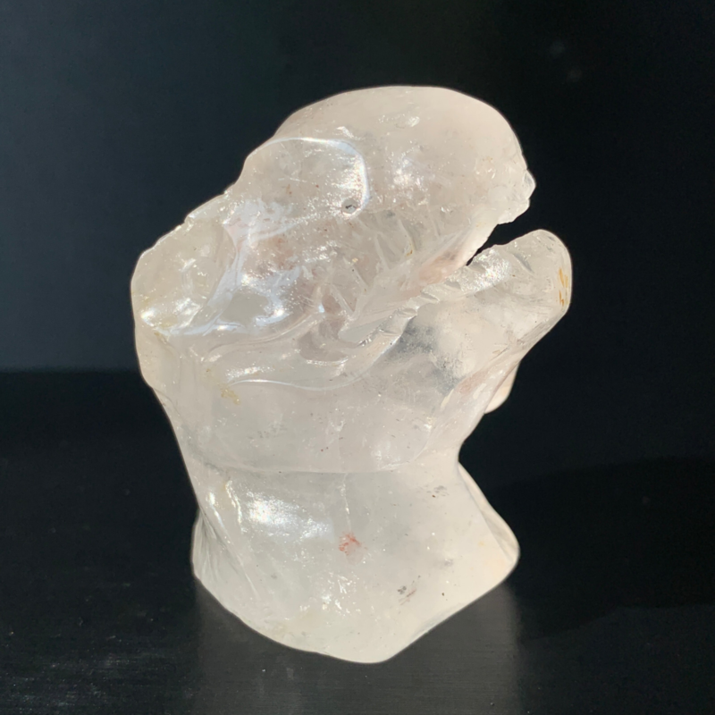 1Natural Transparent Quartz Quartz Hand Carved Crystal Dinosaur Skull Healing