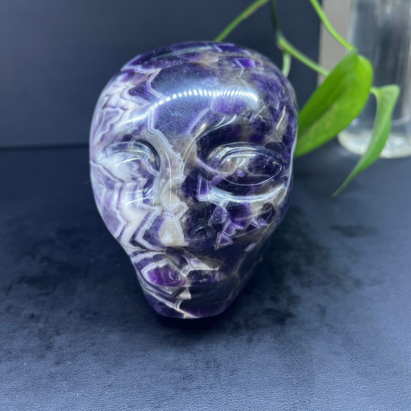 2.71LB Natural dream amethyst aliens Quartz Carved Crystal Skull Reiki Gem Decor