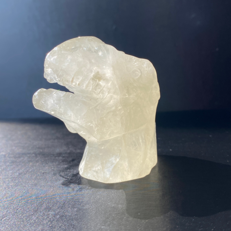 102Gram Natural Citrine Quartz Hand Carved Crystal Dinosaur Skull Healing