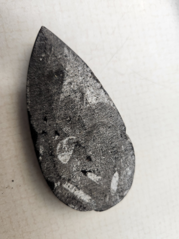 Lot 5:  Agate Slices, Small Fossil Nodule, Orthoceras Fossil, White gypsum Rocks