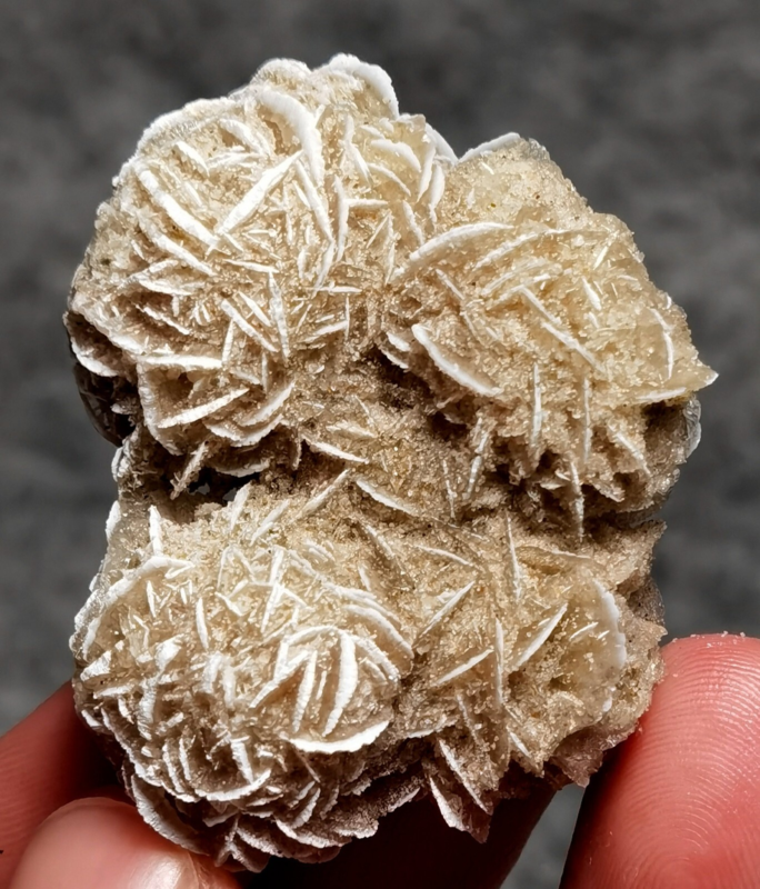 35g Gypsum Selenite Rose Desert Rose Sand Rose Namib Desert Namibia