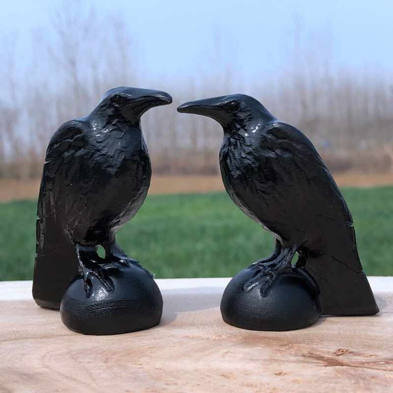 Natural obsidian crystal hand carved Raven skull Quartz reiki Decoration 1pc