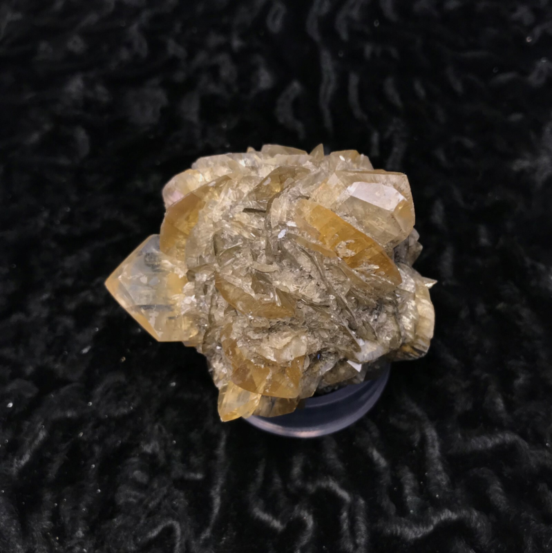 Gypsum var. Selenite 1F196 Canada Crystal Mineral Specimen