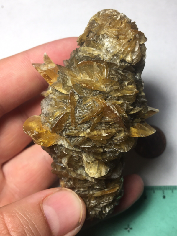 Large Winnipeg Gypsum Selenite Crystal Cluster Rose Canada Natural