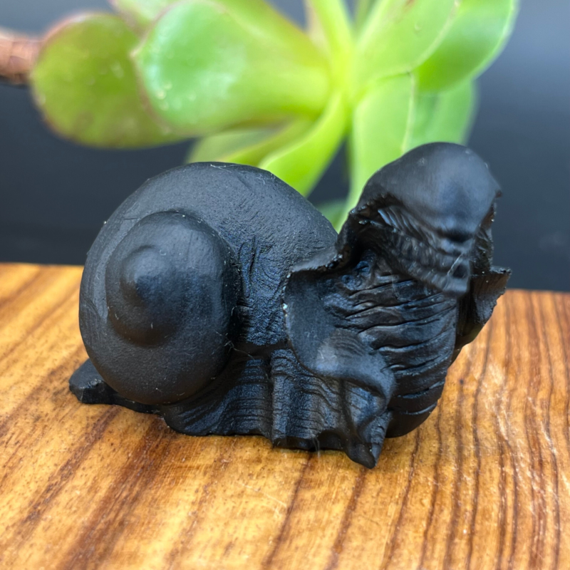 57g Natural crystal Obsidian Snail Grimace Animal carving reiki healing Gem Gift
