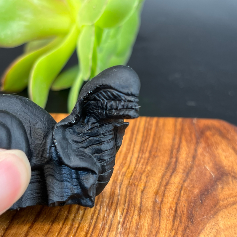 57g Natural crystal Obsidian Snail Grimace Animal carving reiki healing Gem Gift