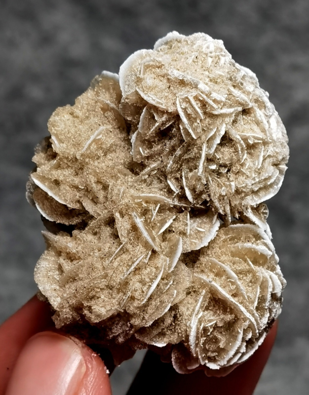 35g Gypsum Selenite Rose Desert Rose Sand Rose Namib Desert Namibia