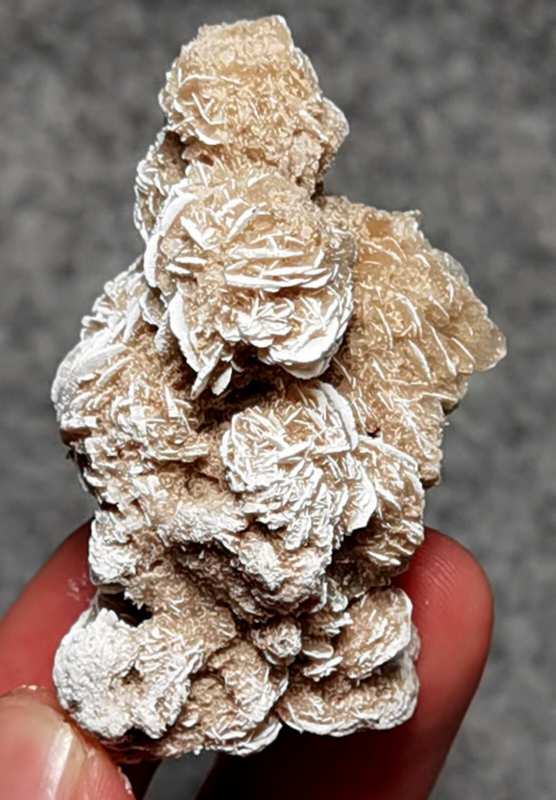 45 Gram Gypsum Selenium Stone Rose Adenium Obesum Sand Rose Namibia Desert